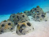 Curacao 04-12 479